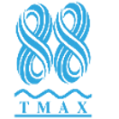 t max