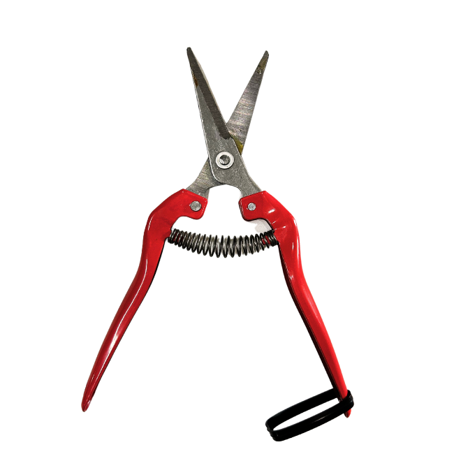 กรรไกรตัดกิ่งปากตรง – Rhino Max (6)