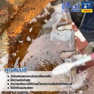 น้ำยากำจัดสนิม WELPUM810 ขจัดสนิมเหล็ก คืนผิวโลหะสะอาด