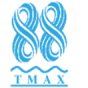 t max